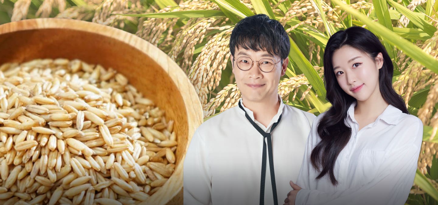 정읍에서 자라난 슈퍼푸드, 영양 가득 귀리