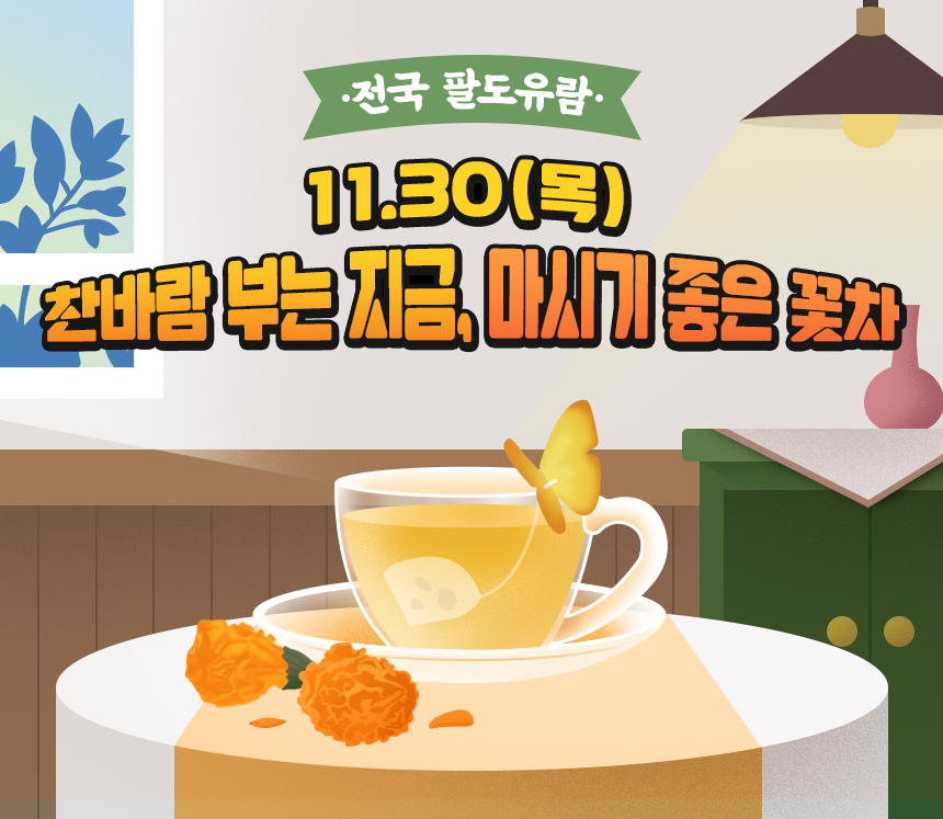 전국 팔도유람 - 찬바람 부는 계절, 마시기 좋은 꽃차