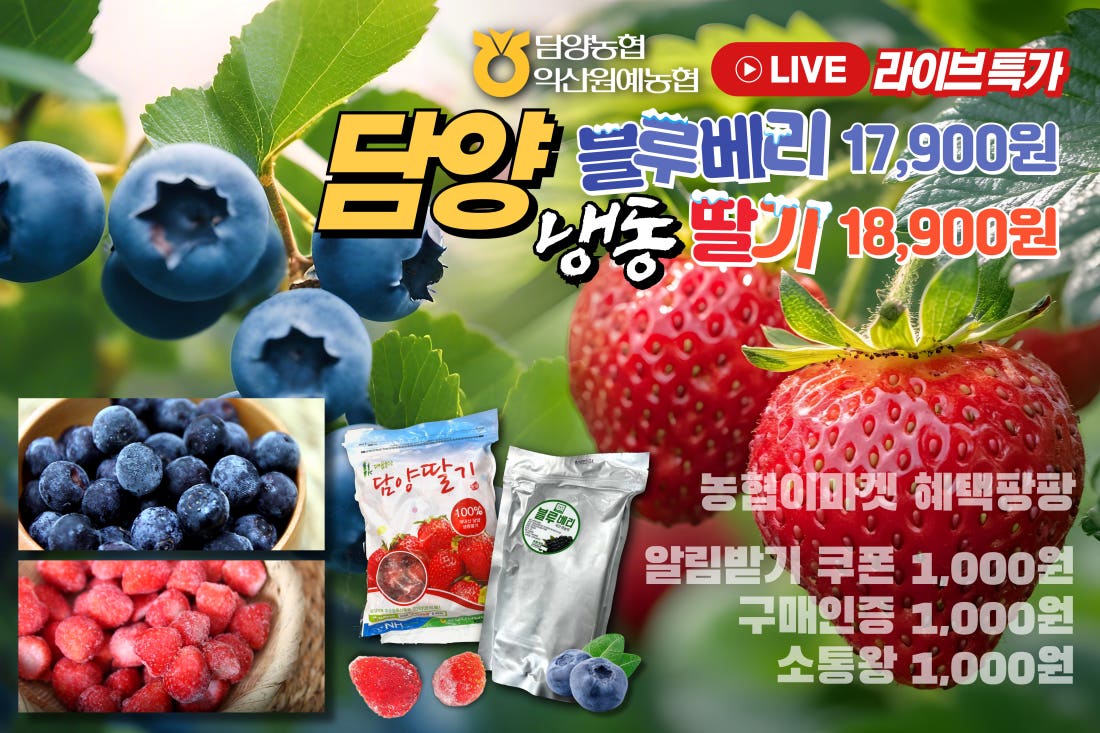 담양농협 제철 냉동🫐블루베리🍓딸기 라이브 초특가💝