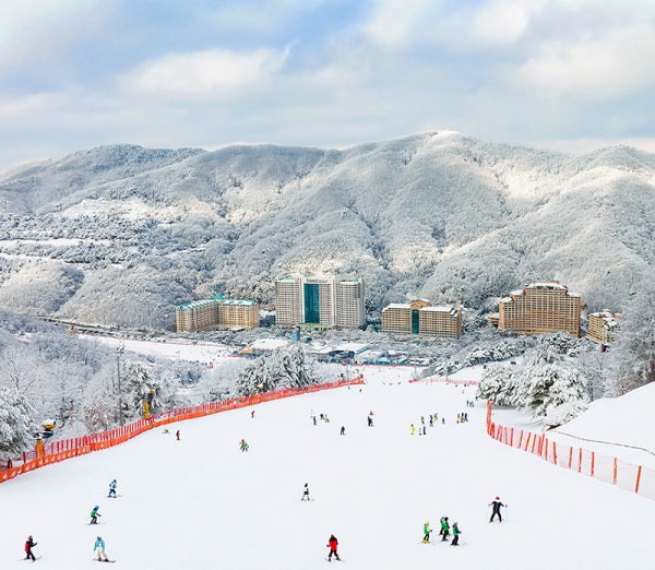 비발디파크 리프트권