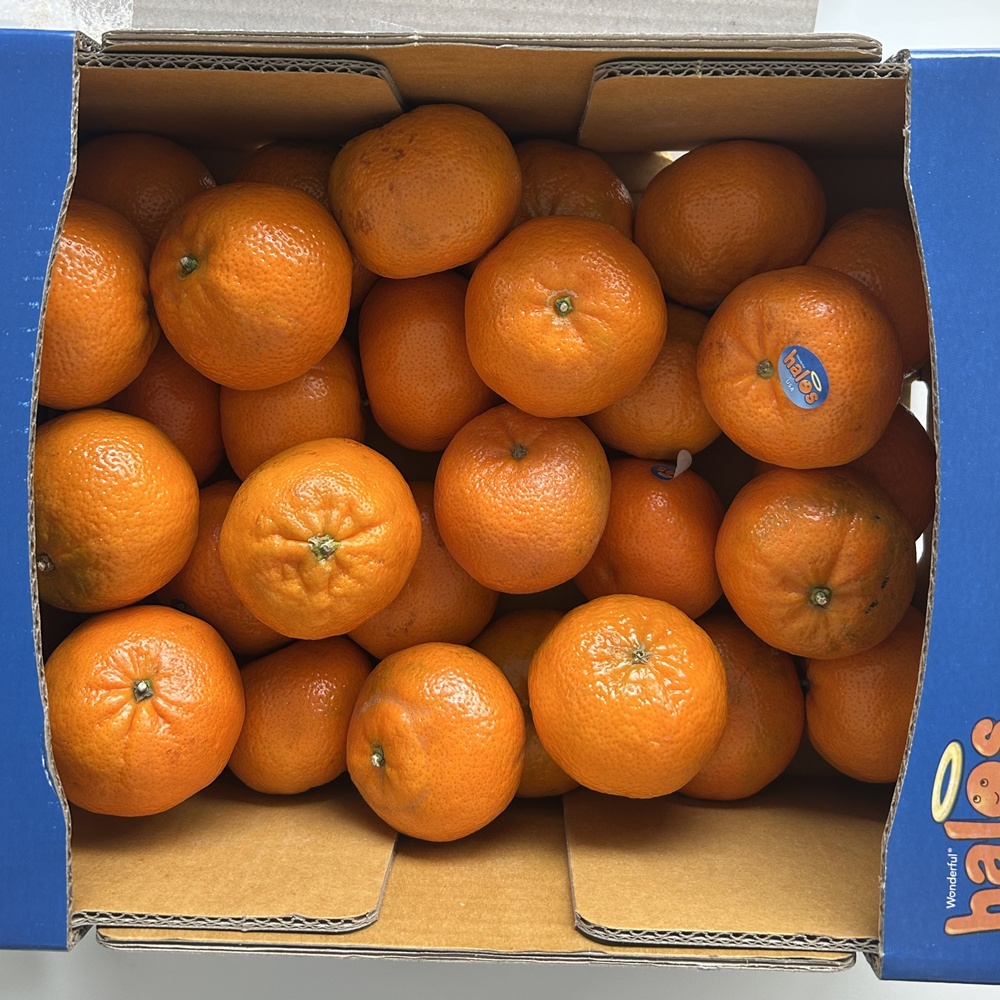 미국 캘리포니아 만다린 고당도 할로스 3kg